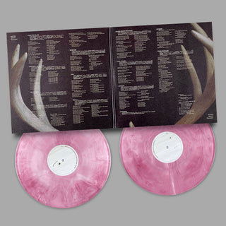 Racing Mount Pleasant: Racing Mount Pleasant (Colored Vinyl) Vinyl 2LP - Turntable Lab Exclusive