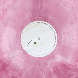 Racing Mount Pleasant: Racing Mount Pleasant (Colored Vinyl) Vinyl 2LP - Turntable Lab Exclusive