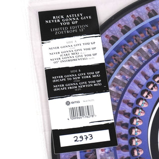 Rick Astley: Never Gonna Give You Up (Zoetropic) Vinyl 12"