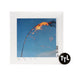 Sigur Ros: ATTA (Indie Exclusive Colored Vinyl) Vinyl 2LP