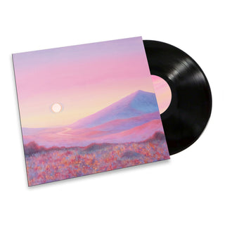 Strawberry Guy: Give Me A Dream (180g) Vinyl 2LP