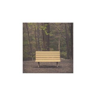 Streetlight Manifesto: The Hands That Thieve (Indie Exclusive Colored Vinyl) Vinyl LP - PRE-ORDER