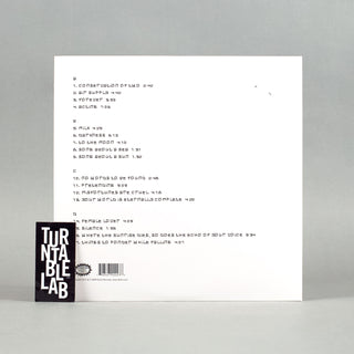 Sweet Trip: You Will Never Know Why (Colored Vinyl) Vinyl 2LP - Turntable Lab Exclusive