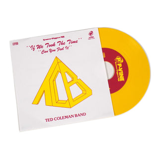 Ted Coleman Band: If We Took The Time (Where Do We Go From Here) (Japan Import) Vinyl 7"