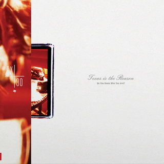 Texas Is the Reason: Do You Know Who You Are - Tx30 Special Edition Vinyl LP