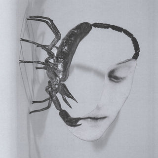 Tortoise: Touch Vinyl LP