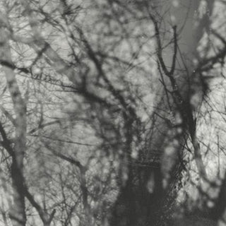 Grouper: Way Their Crept Vinyl LP