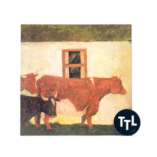 Vashti Bunyan: Just Another Diamond Day Vinyl 2LP