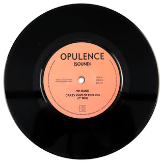 101 Band: Crazy Kind Of Feeling Vinyl 7"