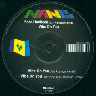 Sare Havlicek: Vibe On You (Iljia Rudman Remix) 12"