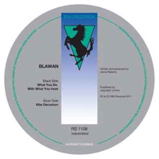 Blawan: What You Do With What You Have / Vibe Decorium 12"