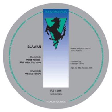 Blawan: What You Do With What You Have / Vibe Decorium 12"
