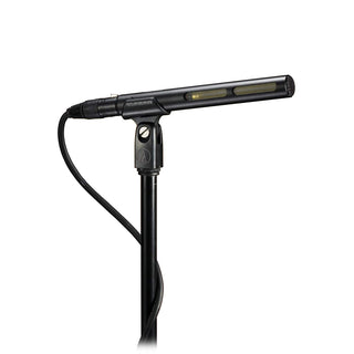 Audio-Technica Pro: AT875R Line + Gradient Condenser Microphone