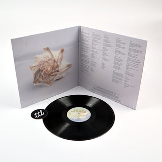 Alex G: God Save The Animals Vinyl LP