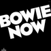 David Bowie: Now (Colored Vinyl) Vinyl LP (Record Store Day)
