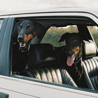 Overmono: Everything U Need Vinyl 12" - LIMIT 1 PER CUSTOMER