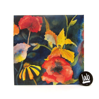 Adrianne Lenker: Songs And Instrumentals Vinyl LP