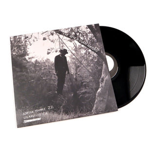 Adrian Younge: The American Negro Vinyl 