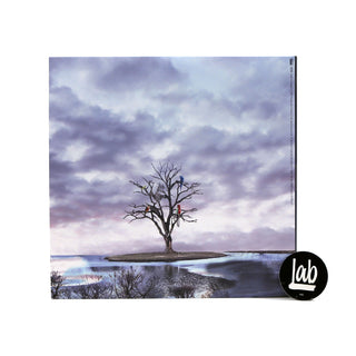 Alex G: God Save The Animals (Indie Exclusive Colored Vinyl) Vinyl LP