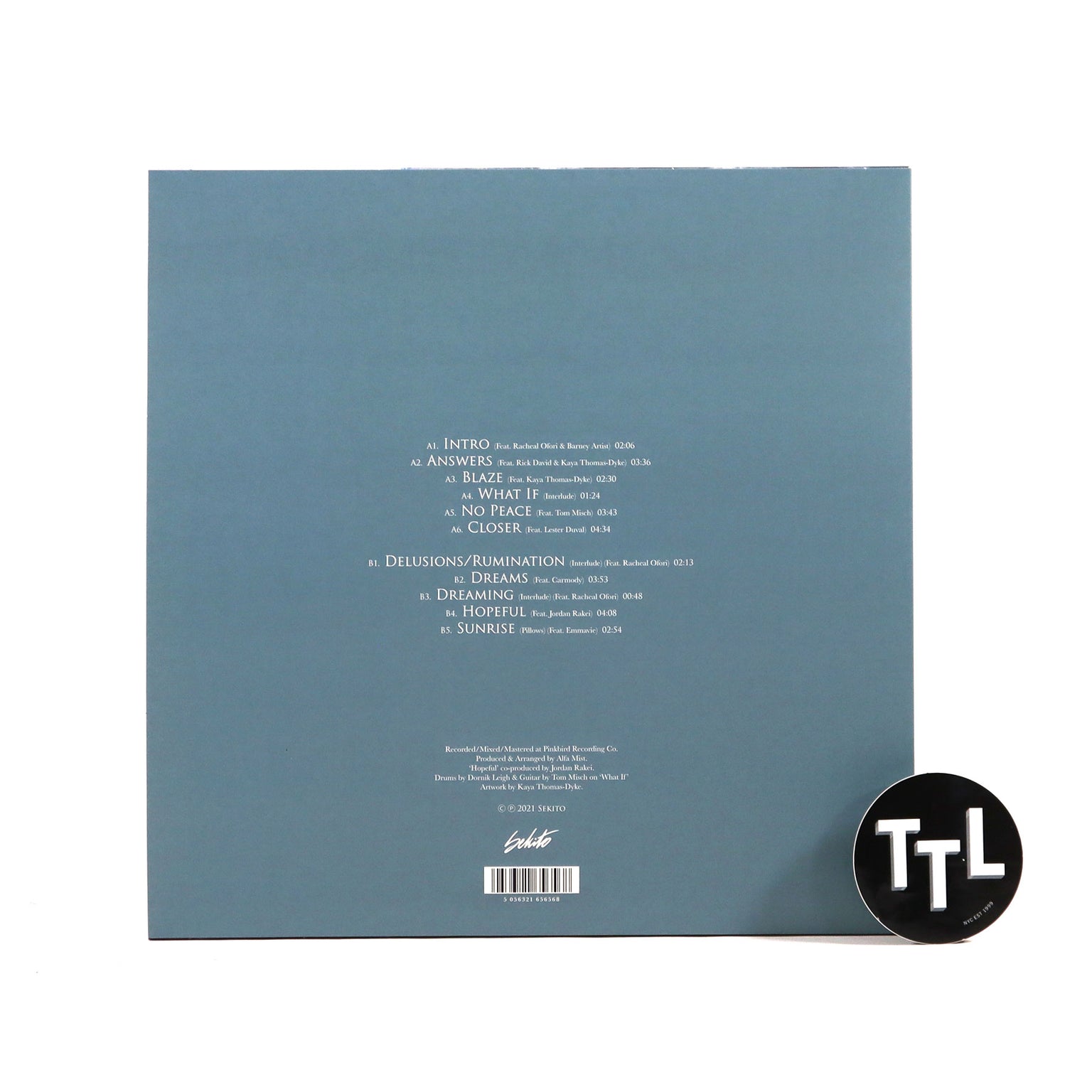 Hip-Hop Vinyl Album - Introspective Themes