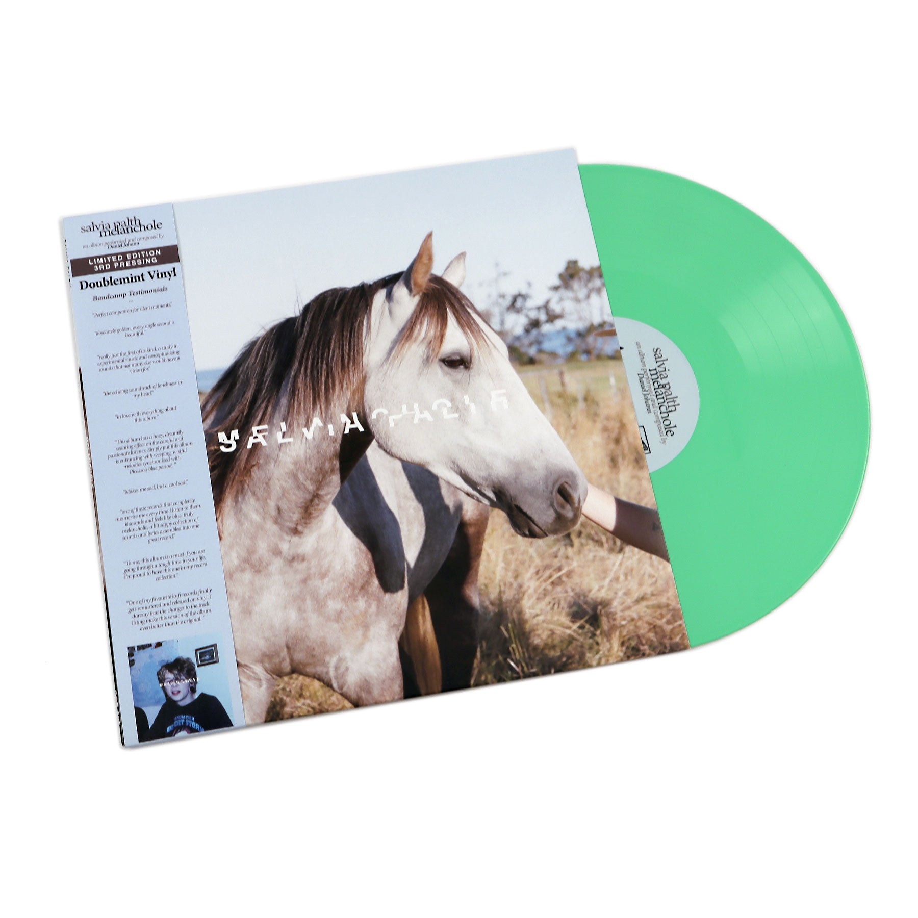 Salvia Palth: Melanchole (Colored Vinyl) Vinyl LP – TurntableLab.com