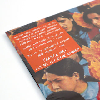 Alvvays: Alvvays (Colored Vinyl) Vinyl LP