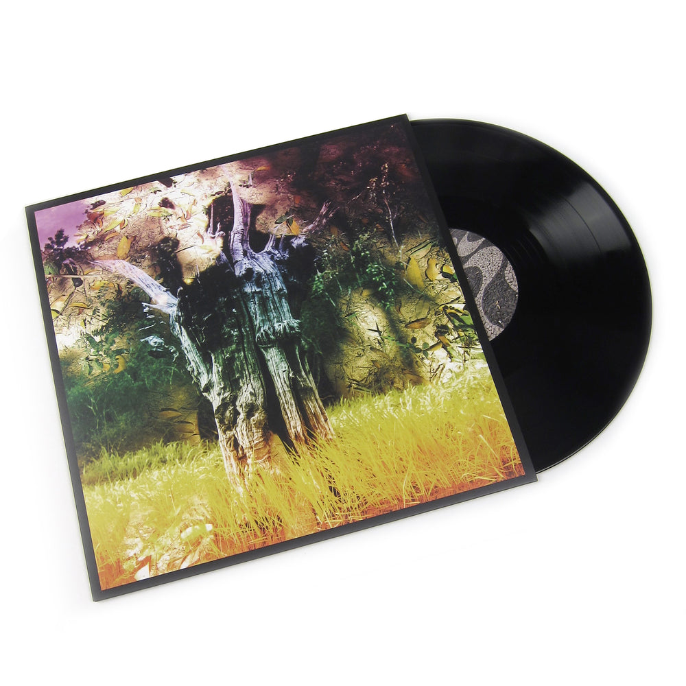 Animal Collective: Meeting Of The Waters EP (180g) Vinyl 12" (Record Store Day)