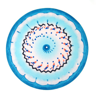 Animal Collective: Painting With Vinyl LP + Free Zoetropic Slipmat