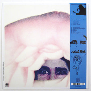 Ariel Pink: Odditties Sodomies Vol. 2 Vinyl LP