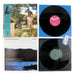 Ariel Pink: The Doldrums Vinyl 2LP