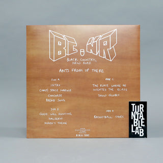Black Country, New Road: Ants From Up There (Colored Vinyl) Vinyl 2LP - Turntable Lab Exclusive