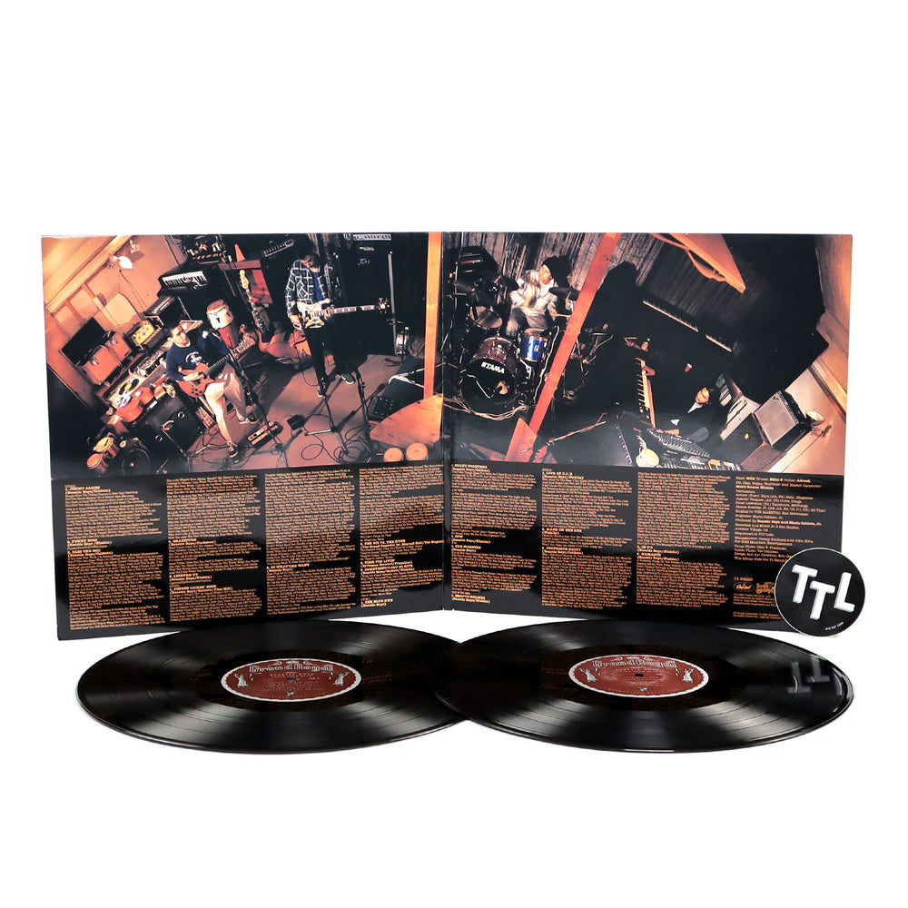 Beastie Boys: Check Your Head Vinyl 2LP — TurntableLab.com