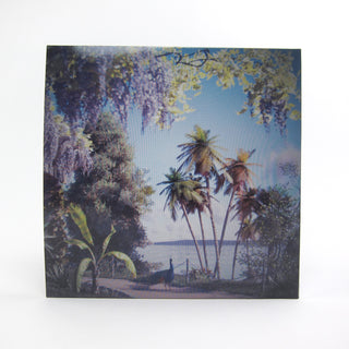 Beirut: Gallipoli (Indie Exclusive Colored Vinyl) Vinyl LP