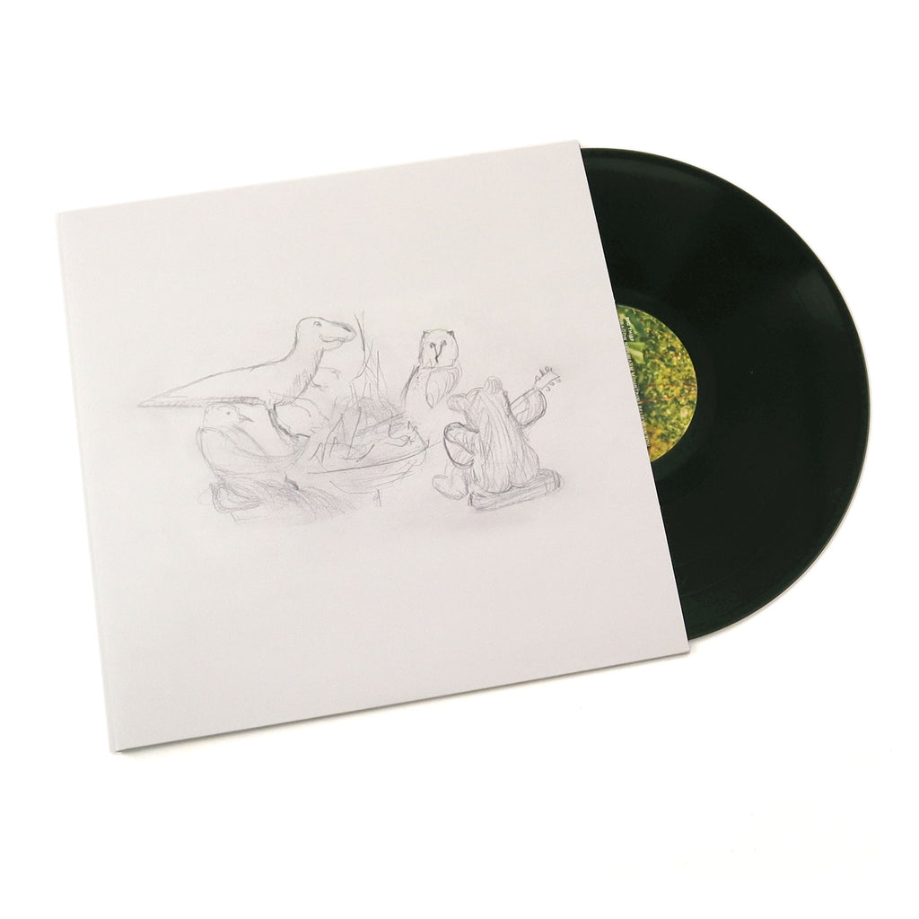 Big Thief: Dragon New Warm Mountain I Believe In You Vinyl 2LP