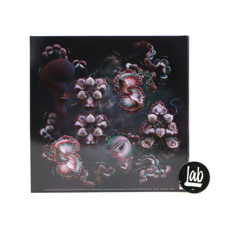 Bjork: Fossora Vinyl 2LP