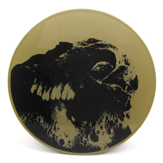 Black Moth Super Rainbow: Panic Blooms (Colored Vinyl) Vinyl 2LP