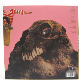 Black Moth Super Rainbow: Panic Blooms (Pink Colored Vinyl) Vinyl 2LP