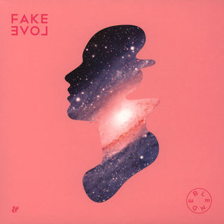Blende: Fake Love 12"