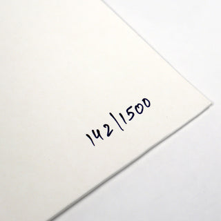 Bonobo: ATK / Defender Vinyl 12"