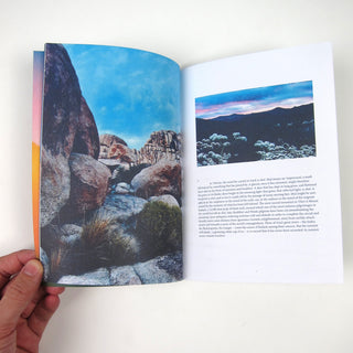 Bonobo: Migration Deluxe Edition (180g) Vinyl 2LP