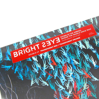 Bright Eyes: Down In The Weeds Where The World Once Was (Red & Orange Colored Vinyl) Vinyl 2LP - LIMIT 1 PER CUSTOMER