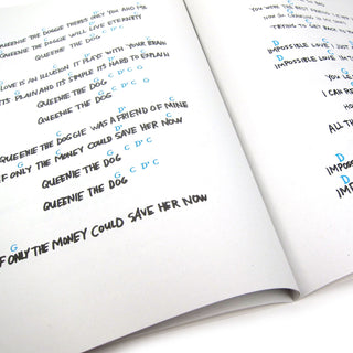 Built To Spill: Plays The Songs Of Daniel Johnston Vinyl LP+Book