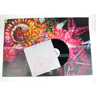 Caribou Vibration Ensemble: CVE Live 2011 (Four Tet, James Holden) Vinyl LP detail