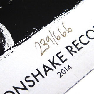 Moonshake: Castlevania Original Video Soundtrack (Colored Vinyl) Vinyl LP