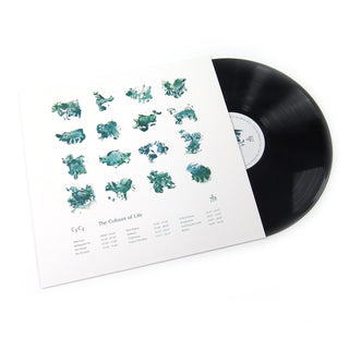 CFCF: The Colours Of Life Vinyl LP