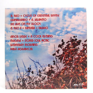 Chicano Batman: Cycles Of Existential Rhyme Vinyl LP