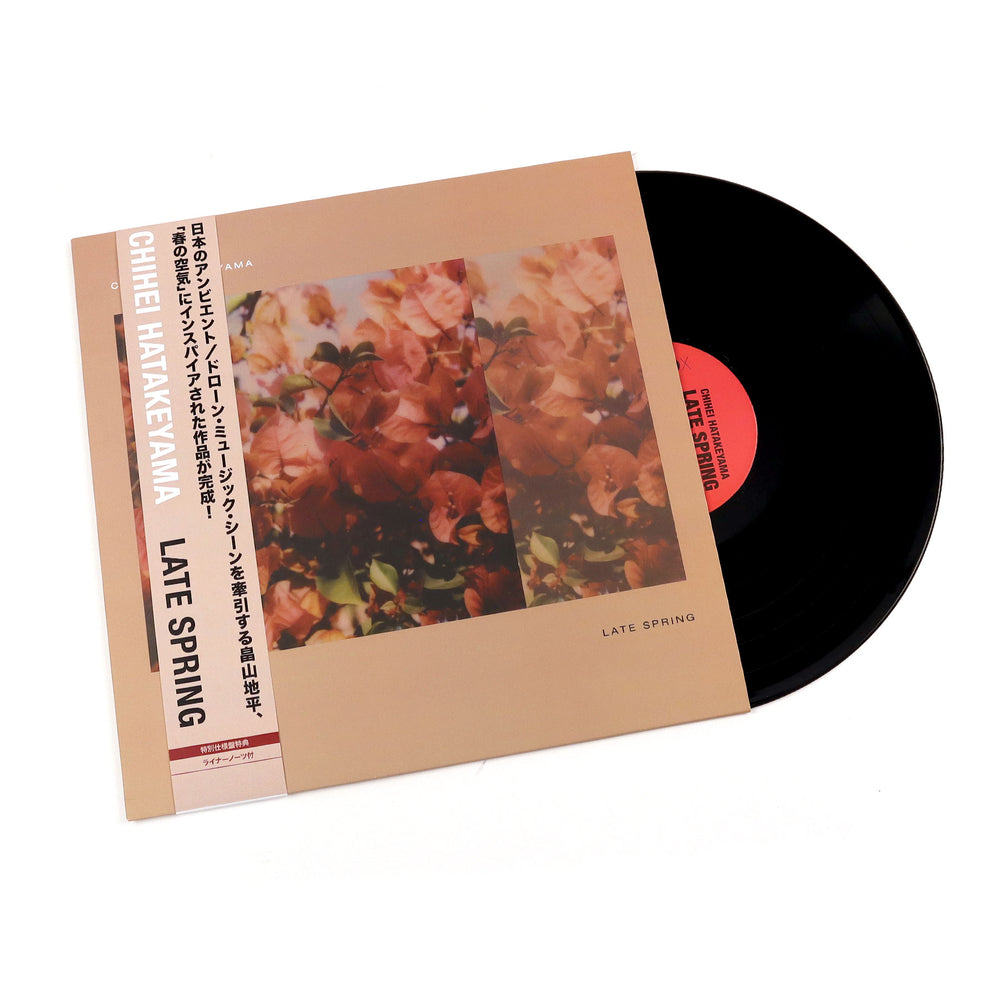 Chihei Hatakeyama: Late Spring Vinyl LP