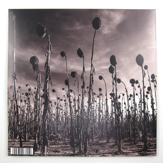 Dead Can Dance: Anastasis Vinyl 2LP