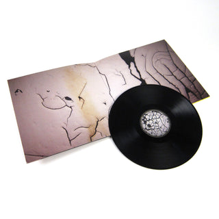 Death Grips: Bottomless Pit Vinyl LP