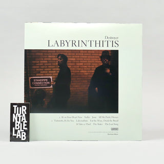 Destroyer: Labyrinthitis (Colored Vinyl) Vinyl LP - Turntable Lab Exclusive